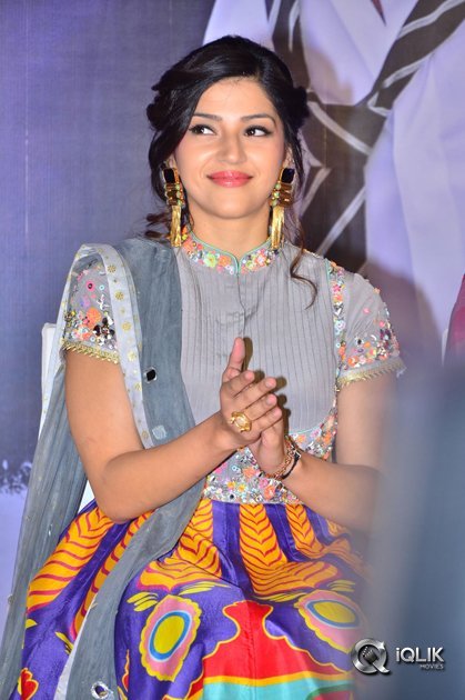 Raja-The-Great-Movie-Success-Meet